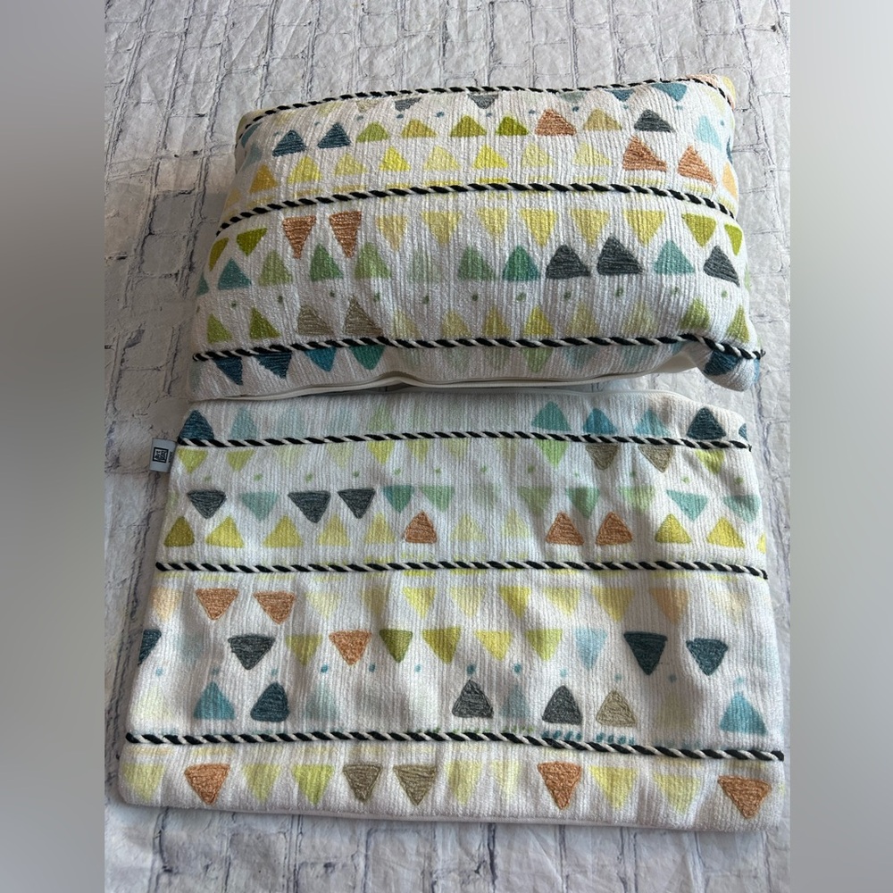 DREAM HOME BY AVIVA STANOFF FOR ART VAN FURNITURE STORE (2) EMBROIDERED PILLOWS